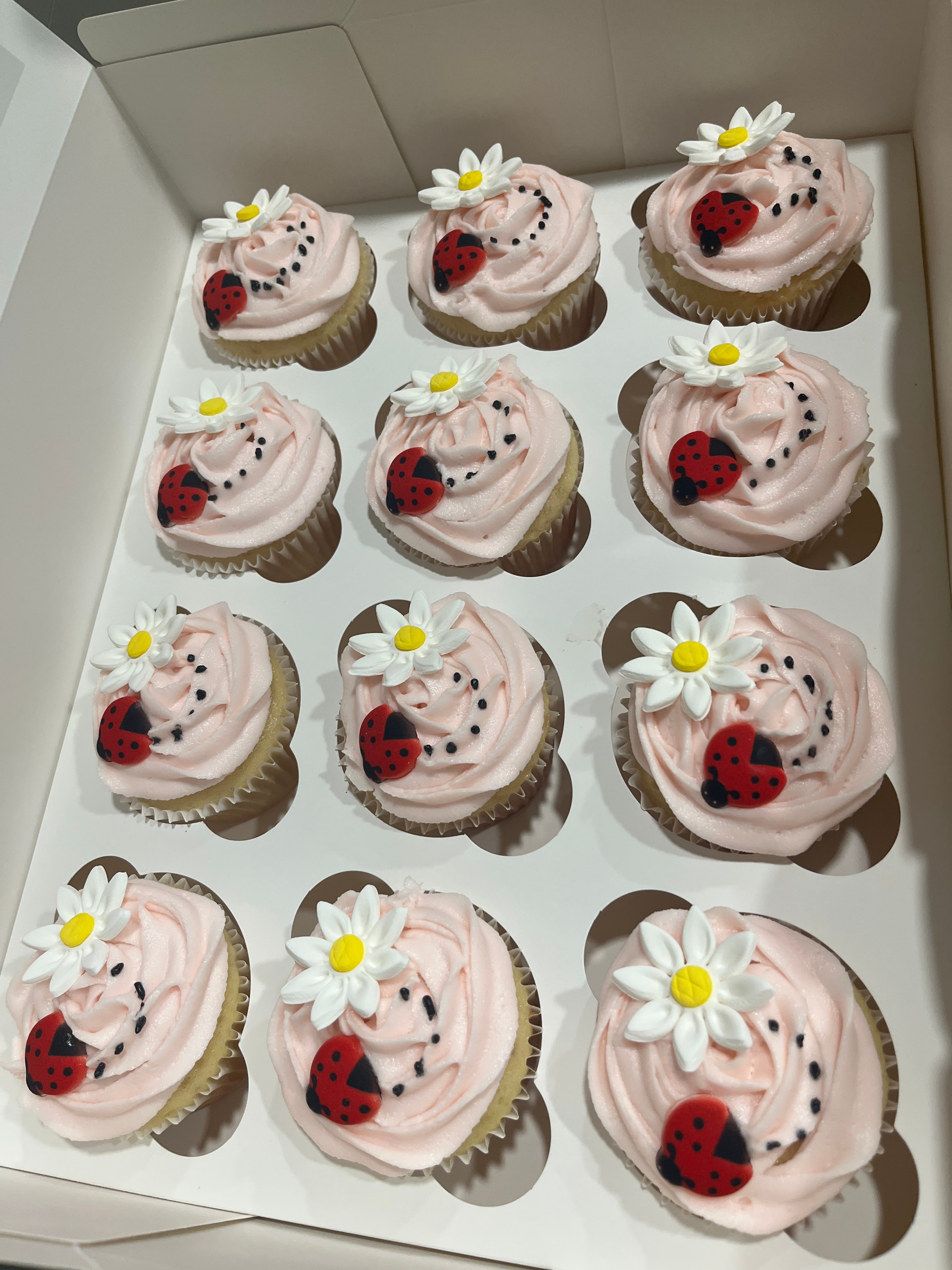 Custom cupcakes for birthdays and celebrations — local order only